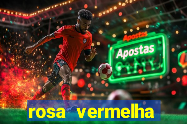 rosa vermelha (letra e cifra)